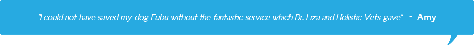 slide-testimonial-amy