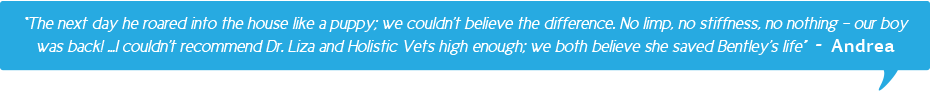 slide-testimonial-andrea